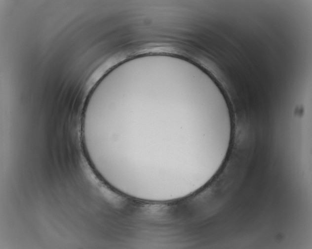 X0000112751282200909171217