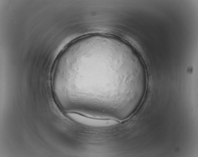 X0000112751283200909171217