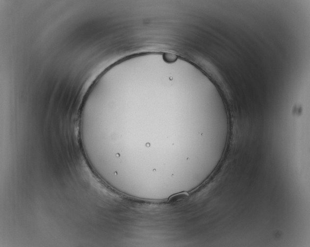 X0000112751284200909171217