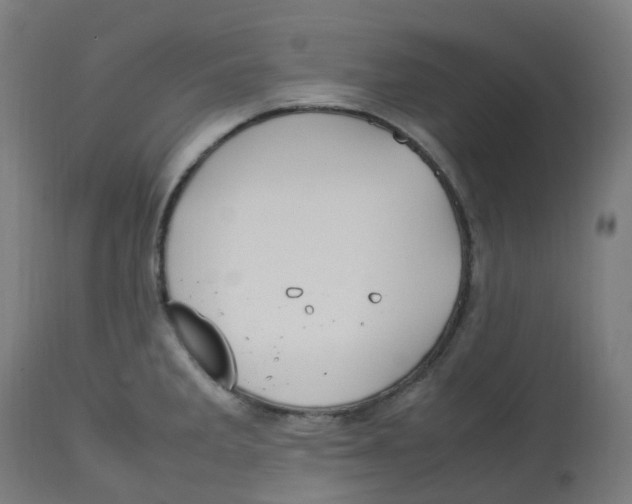 X0000112751285200909171217