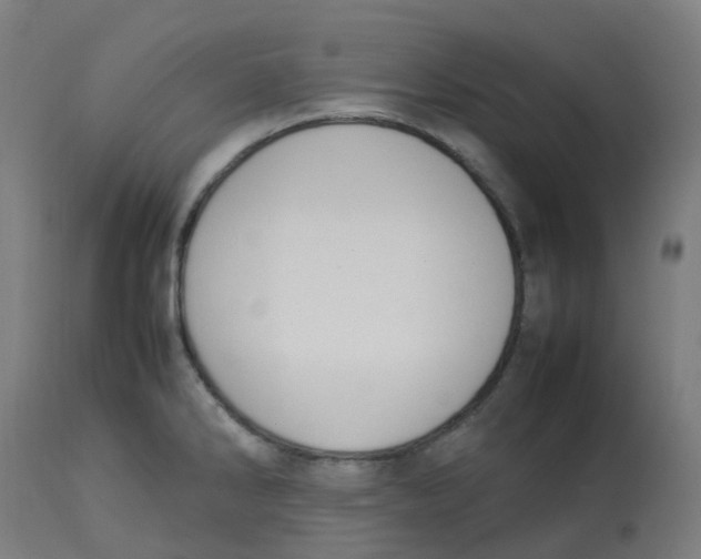 X0000112751286200909171217