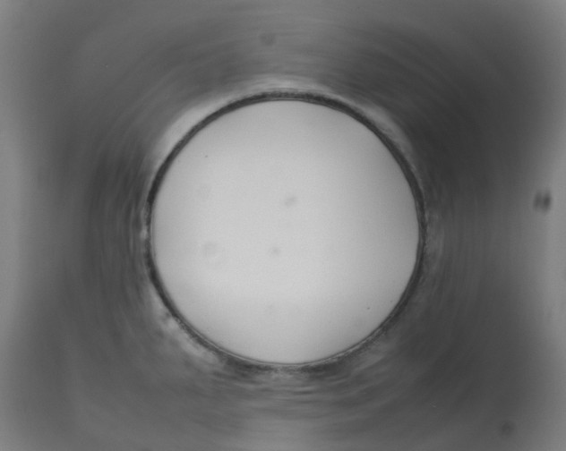 X0000112751287200909171217