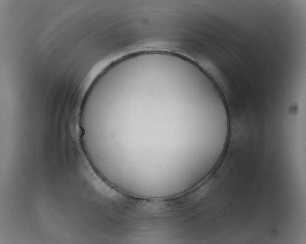 X0000112751288200909171217