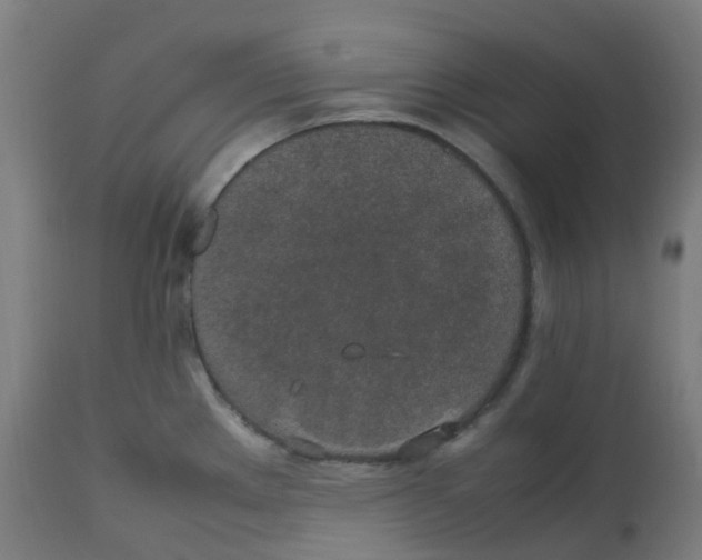 X0000112751289200909171217