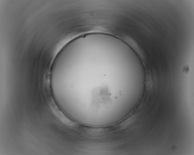 X0000112751292200909171217