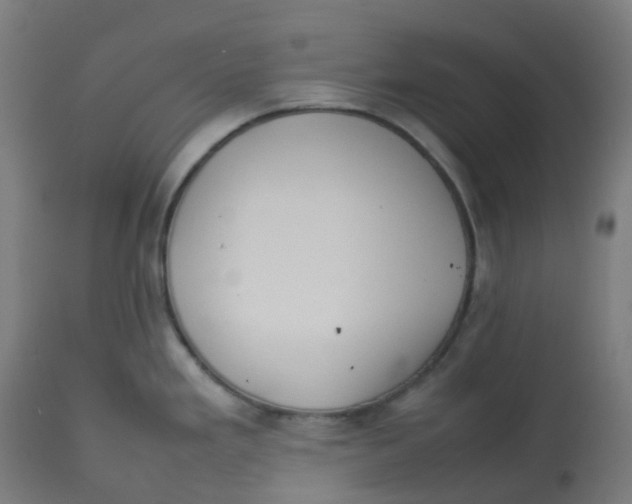 X0000112751293200909171217