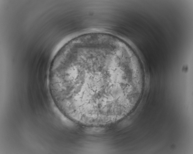 X0000112751294200909171217