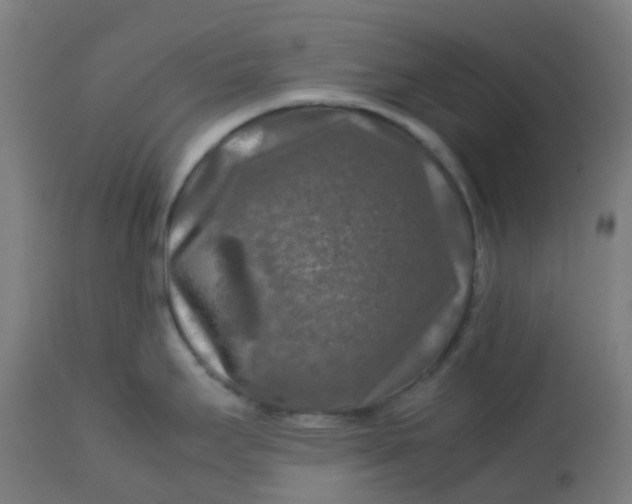 X0000112751295200909171217