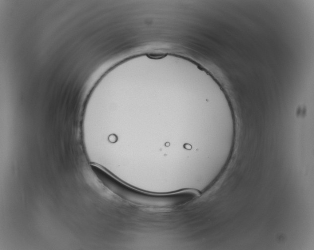 X0000112751296200909171217