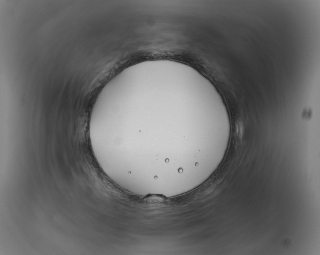 X0000112751300200909171216