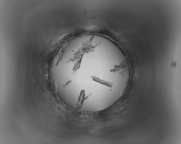 X0000112751301200909171216