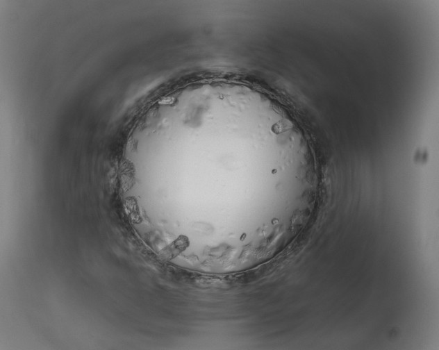 X0000112751302200909171216