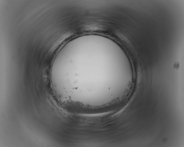 X0000112751305200909171216