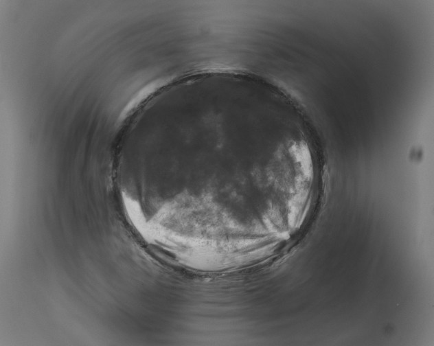 X0000112751306200909171216