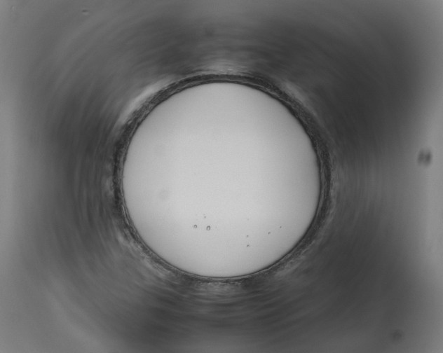 X0000112751307200909171216