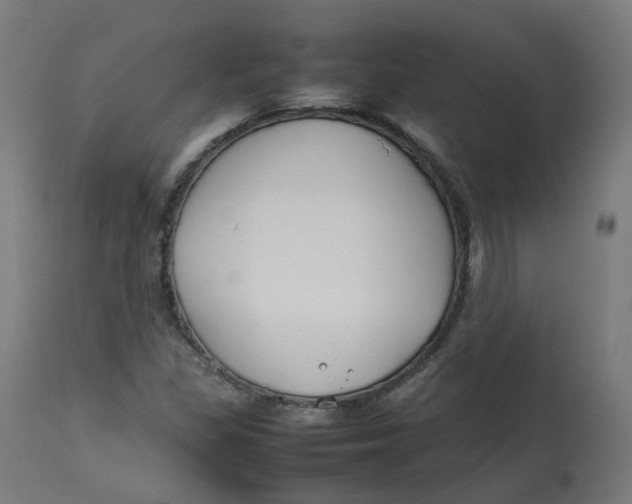 X0000112751309200909171216