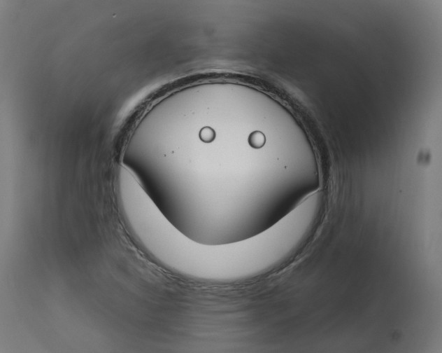 X0000112751310200909171216