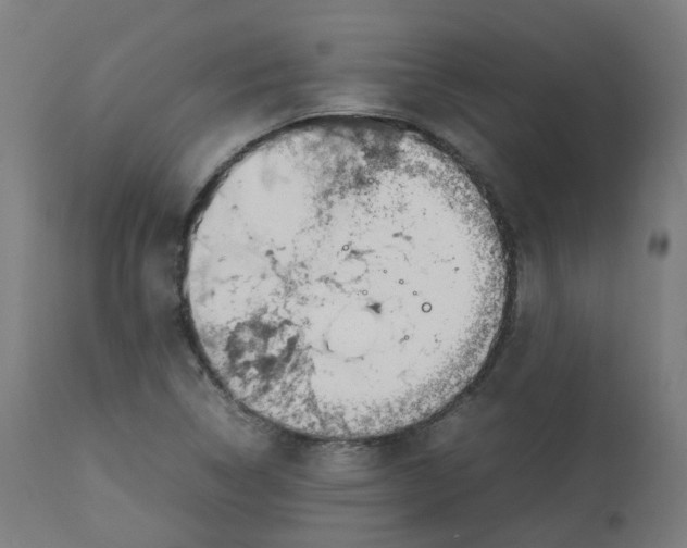 X0000112751314200909171216