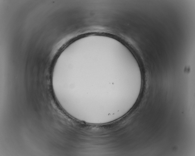 X0000112751318200909171216