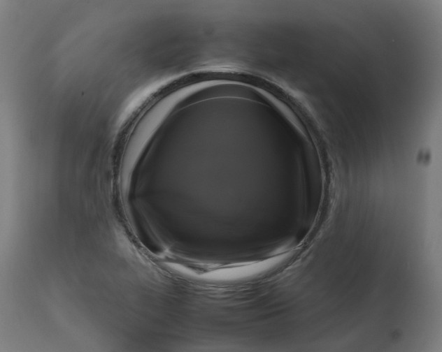 X0000112751319200909171216