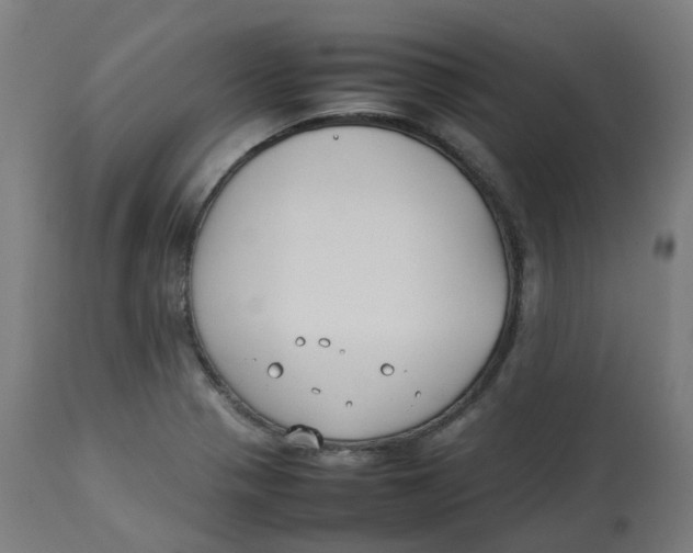 X0000112751321200909171216