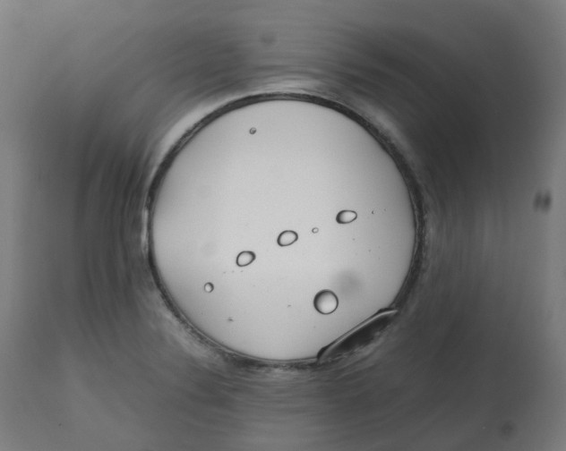 X0000112751324200909171217