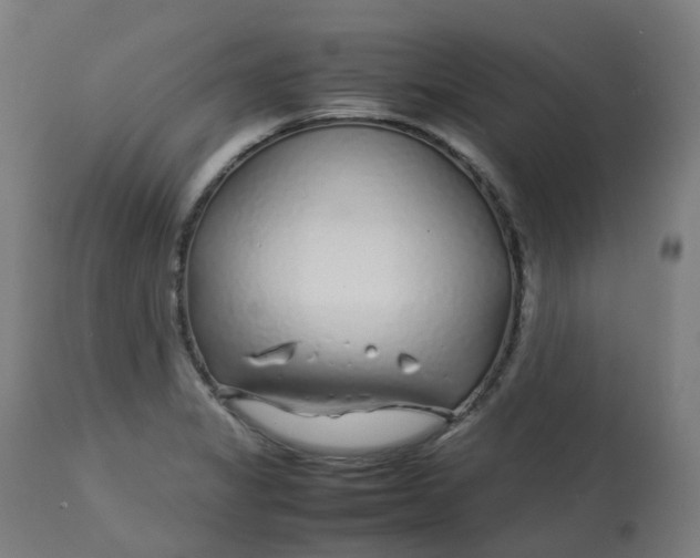 X0000112751325200909171217