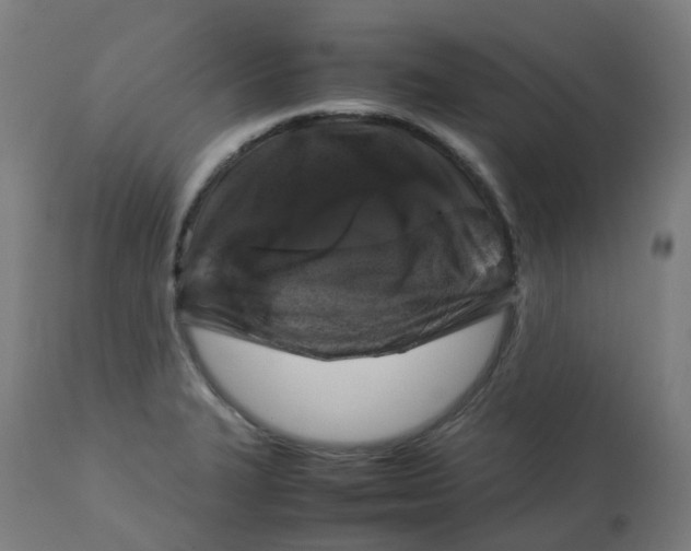 X0000112751327200909171217