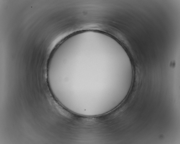 X0000112751328200909171217