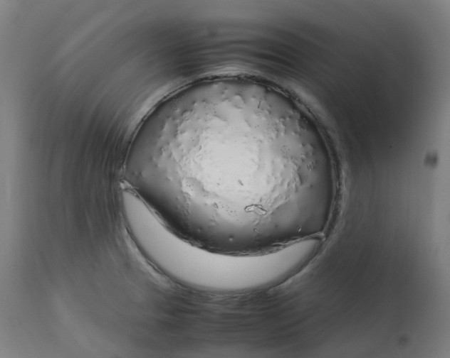 X0000112751329200909171217