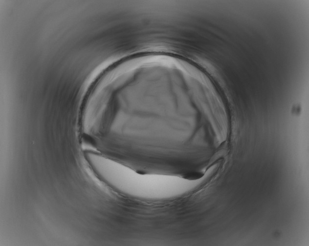 X0000112751331200909171217