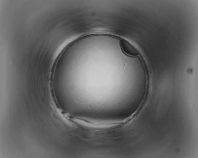 X0000112751333200909171217