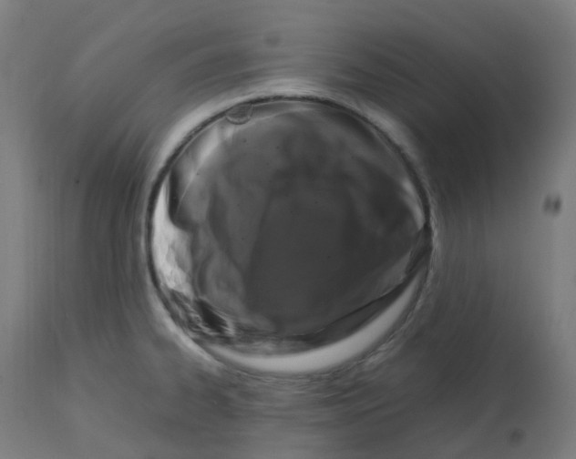 X0000112751334200909171217