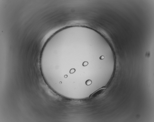 X0000112751336200909171217