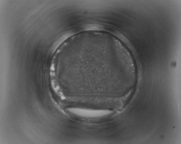 X0000112751337200909171217