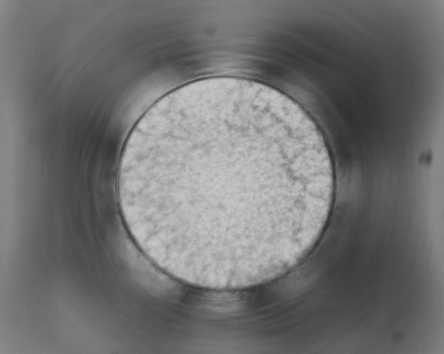 X0000112751338200909171217