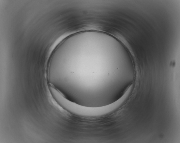 X0000112751339200909171217