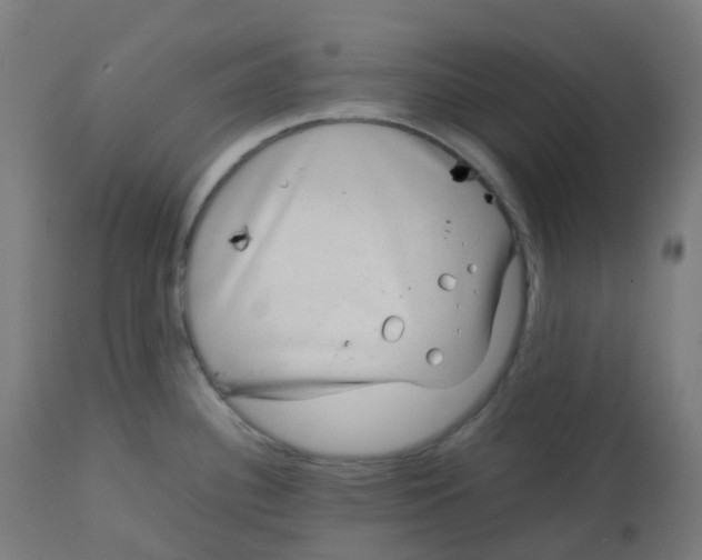 X0000112751340200909171217