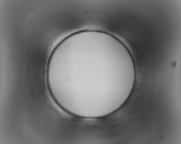 X0000112751343200909171217