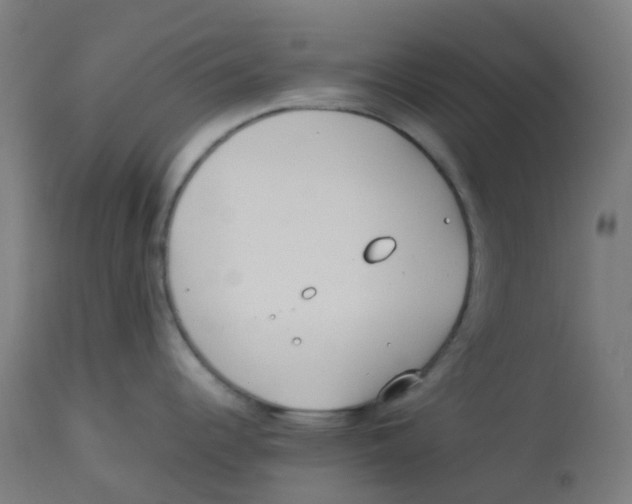 X0000112751344200909171217