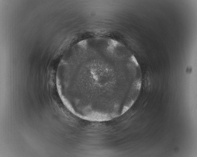 X0000112751346200909171216