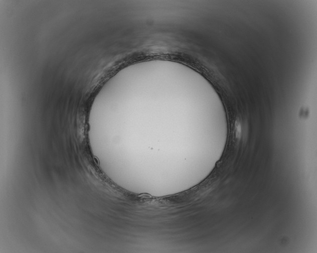 X0000112751348200909171216