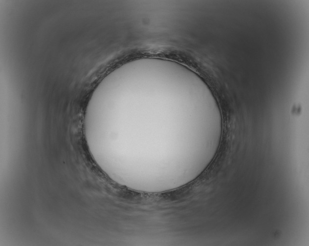 X0000112751349200909171216