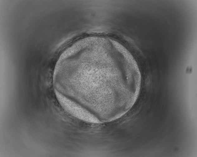 X0000112751350200909171216