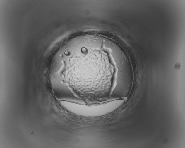 X0000112751351200909171216