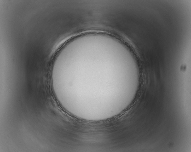 X0000112751352200909171216