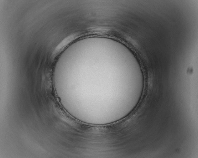 X0000112751354200909171216