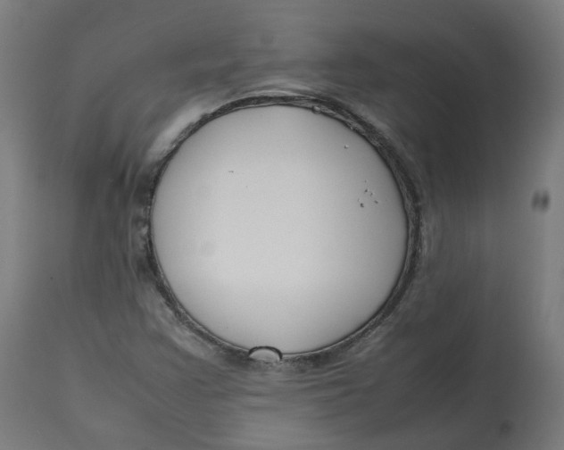 X0000112751355200909171216