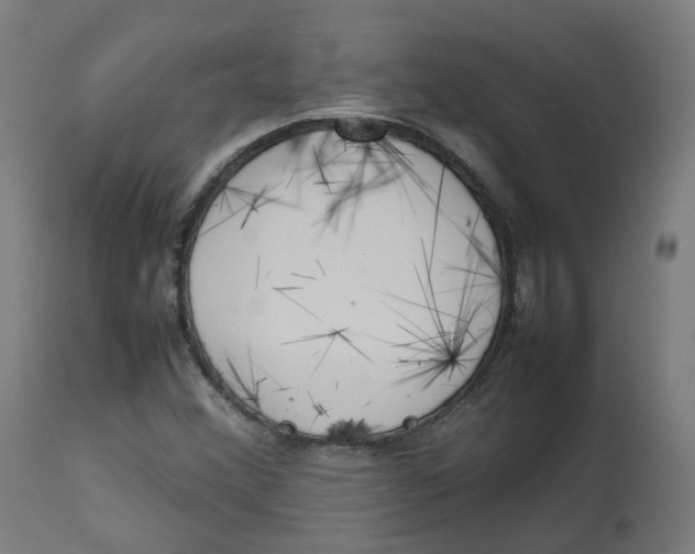 X0000112751356200909171216