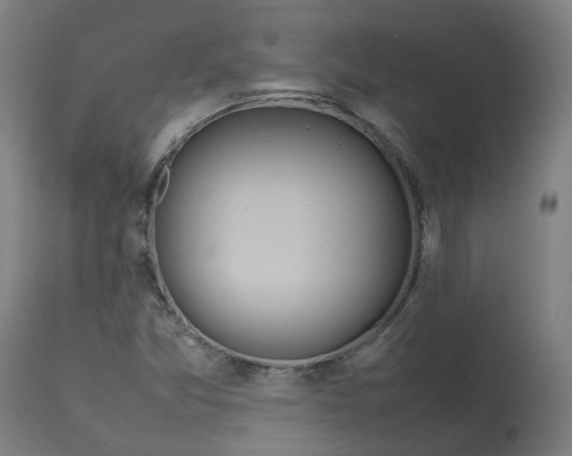 X0000112751357200909171216